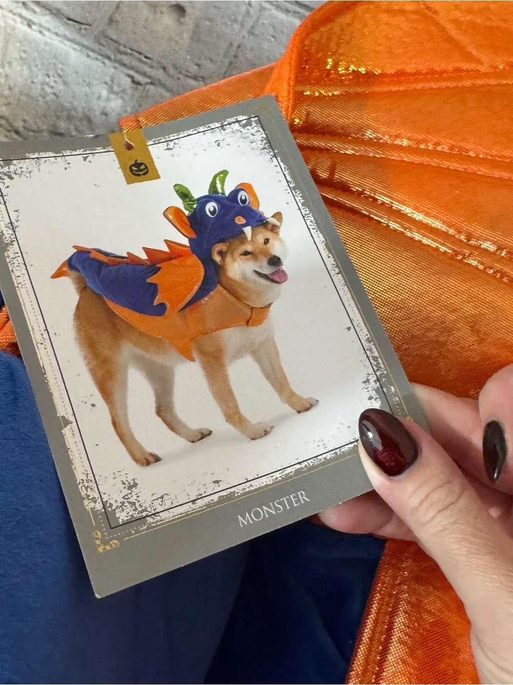 Spooky Night Dragon Dog Halloween Costume